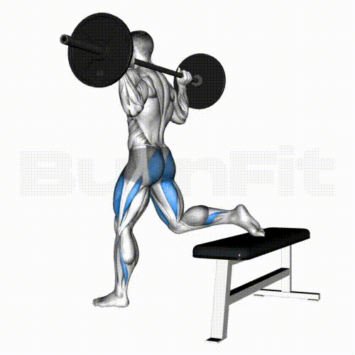 Bulgarian Split Squat